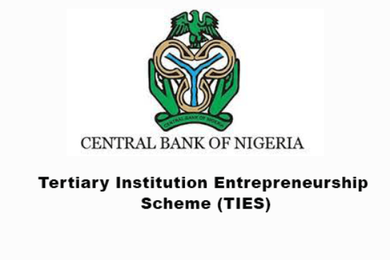 CBN N500k Grants Opens for Graduates, Undergraduates – Apply Now