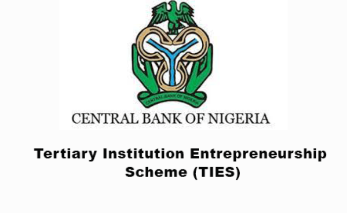 CBN N500k Grants Opens for Graduates, Undergraduates – Apply Now