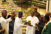 Traditional Rulers Excited As Buhari Opens 32-Metric Tonnes Per Hour Lagos Rice Mill