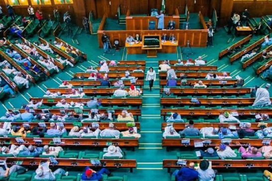 Reps Step Down Bill To Exempt Nigerians Schooling Abroad From NYSC
