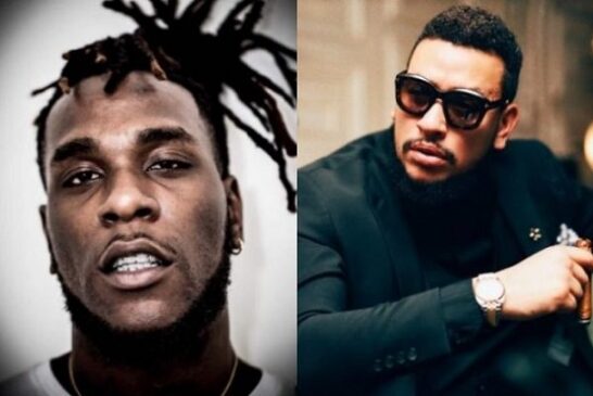I Advised AKA To Buy Gun For Defence – Burna Boy