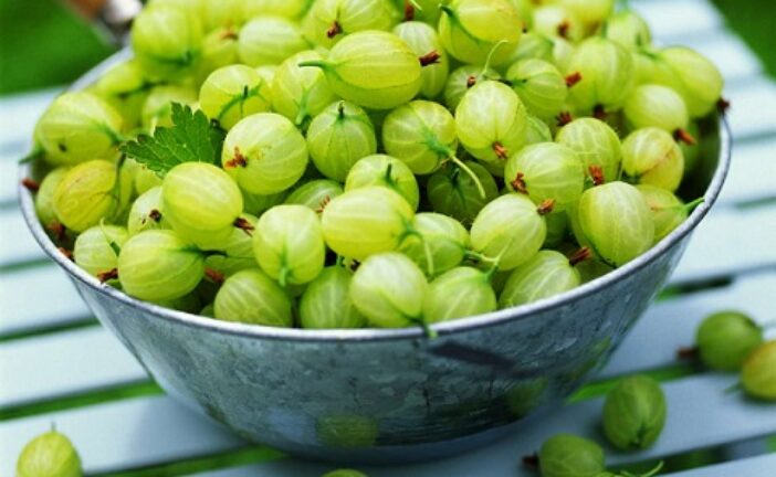 5 Herbs That Helps In Lowering Cholesterol Levels