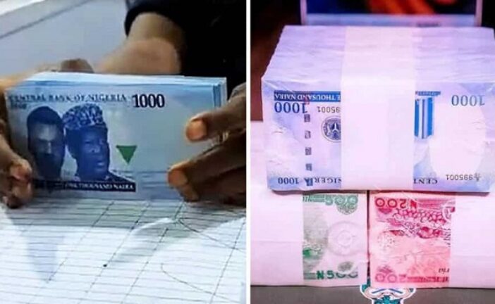 Banks, Business Owners, Count Huge Revenue Losses Amid Naira Crisis