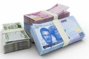 Naira Scarcity Pain Temporary Sacrifice For Saner Economy – FG