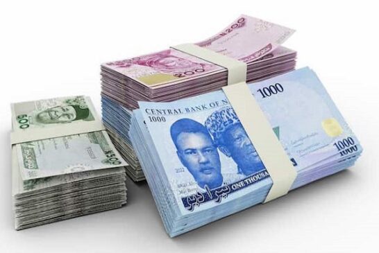 Naira Scarcity Pain Temporary Sacrifice For Saner Economy – FG