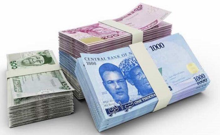 Naira Scarcity Pain Temporary Sacrifice For Saner Economy – FG