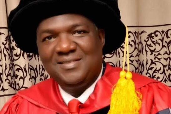 Nobody Wanted To Identify With Our University Because Of Cultism — Agboola, OOU VC