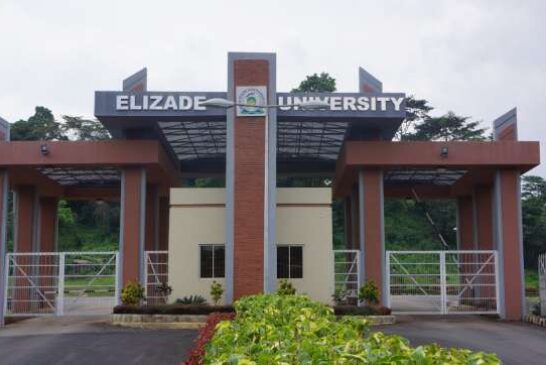Ex-Elizade Varsity VC Bags Five Years Over $1.2m Fraud