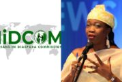 Few Nigerians Agree To Return From Tunisia, Despite Attacks, Says Nidcom