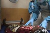 Lassa Fever: 22 States Recorded 109 Deaths In January — NCDC