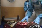 Lassa Fever: 22 States Recorded 109 Deaths In January — NCDC