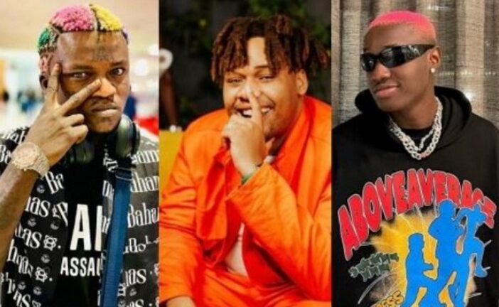 ‘Can’t You Praise God’ – Portable Slams Ruger, BNXN For Always Singing About Women