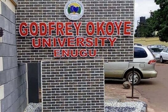 Enugu Varsity Bans Staff, Students From Fixing Artificial Nails, Eye Lashes