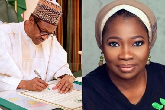Buhari Reappoints Dabiri-Erewa As NIDCOM Chairman