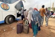 FG Airlifts 888 Nigerians From Egypt, Plans More Evacuation