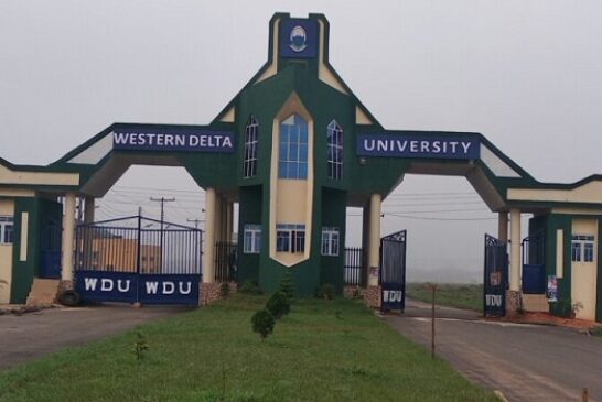 Obi, Fayemi To Become Visiting Lecturers At Western Delta Varsity