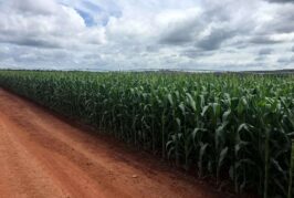 UK Promises Visas For 45,000 Seasonal Agricultural Workers