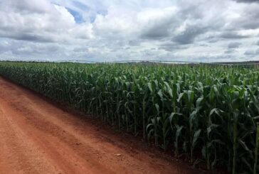 UK Promises Visas For 45,000 Seasonal Agricultural Workers