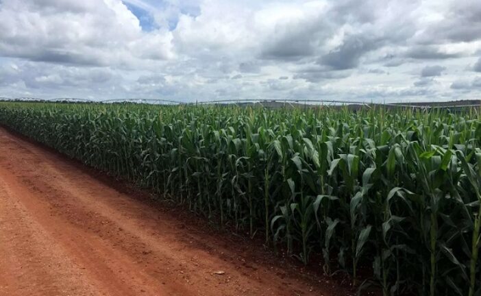 UK Promises Visas For 45,000 Seasonal Agricultural Workers