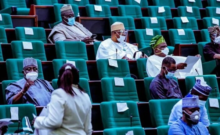 Remove Subsidy On All Petroleum Products, Reps Tell FG