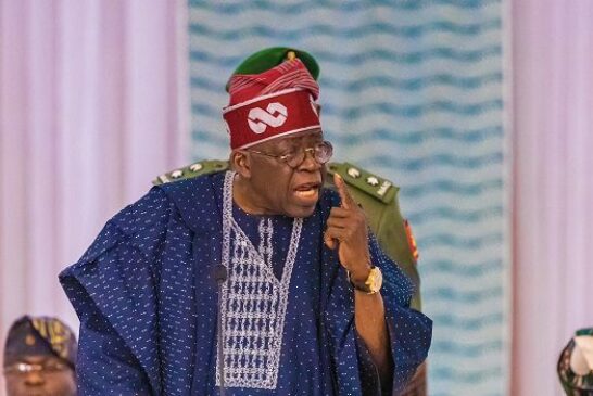 Tinubu Hasn’t Okayed Pay Rise For Political Office Holders, Says Presidency