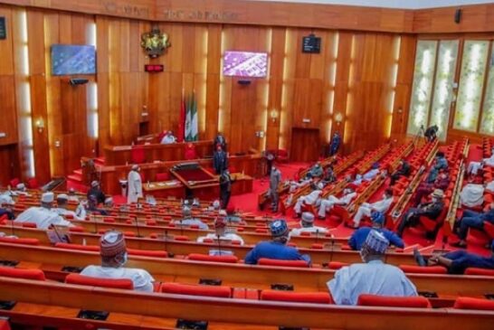 Senate Moves To Scrap Age Limit In Job Advertisements In Nigeria 
