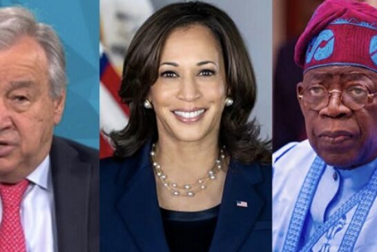 U.S., UN Back Nigeria On Democratic Restoration In Niger