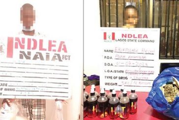 NDLEA Nabs Europe-Bound Undergraduate, Lagos Lawyer With Drugs