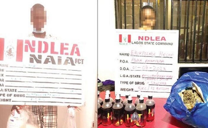 NDLEA Nabs Europe-Bound Undergraduate, Lagos Lawyer With Drugs