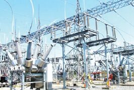 Fed Govt, States To Partner On Electricity
