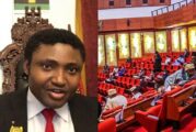 Senate Wants Extradition Of Simon Ekpa Over Sit-At- Home Orders