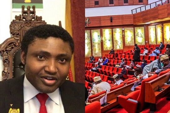 Senate Wants Extradition Of Simon Ekpa Over Sit-At- Home Orders