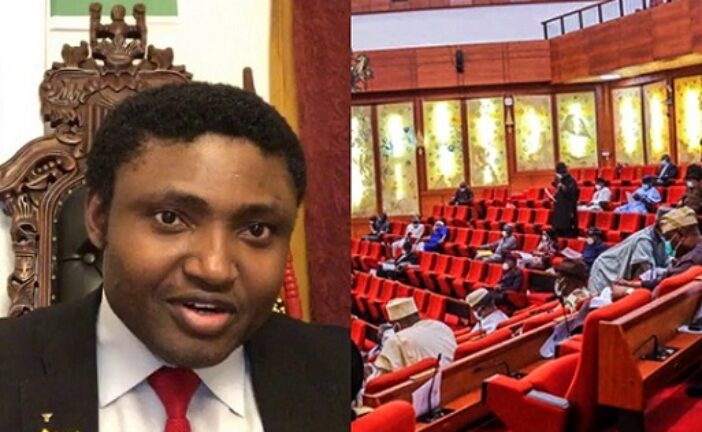 Senate Wants Extradition Of Simon Ekpa Over Sit-At- Home Orders