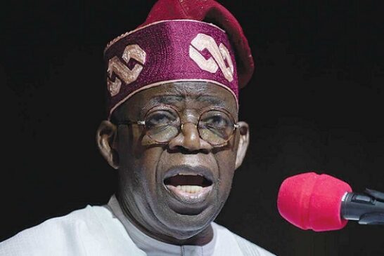 12m Households To Get N8,000 For Six Months, Says Tinubu