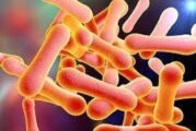 Mouth Disease: 4-Year-Old Dies, 4 Infected As FCTA Confirms Outbreak