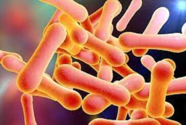 Mouth Disease: 4-Year-Old Dies, 4 Infected As FCTA Confirms Outbreak