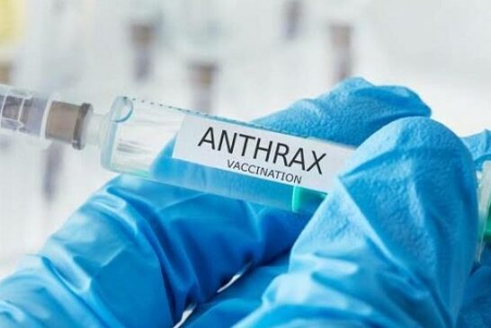 Nigeria Confirms First Anthrax Case