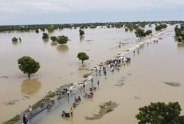 Flood Alert: 14 States That May Experience Heavy Rainfall Soon –  NEMA