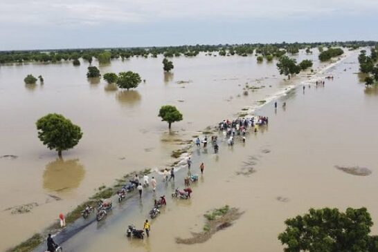 Flood Alert: 14 States That May Experience Heavy Rainfall Soon –  NEMA