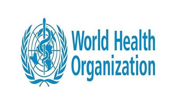 WHO Urges Nigeria To Invest In Public Transport