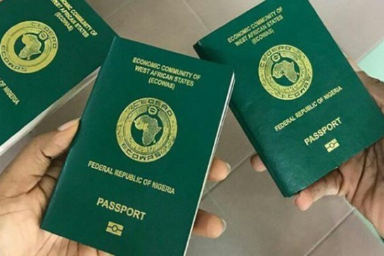 Japa: We’are Automating Passport Application To Reduce Stress For Nigerians  — Immigration 