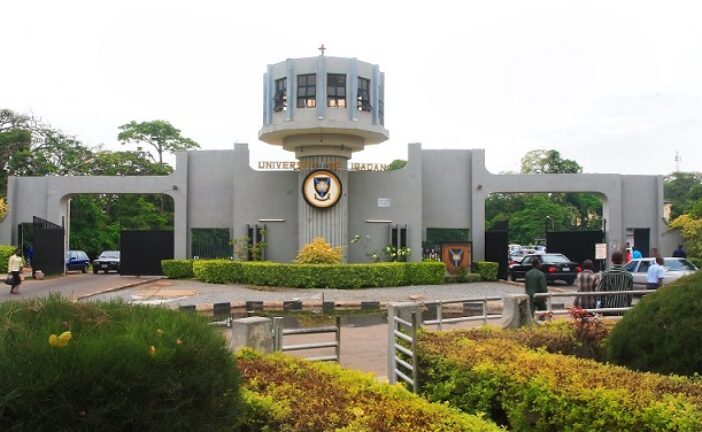 UI Gets N1bn  For Diaspora Research Centre