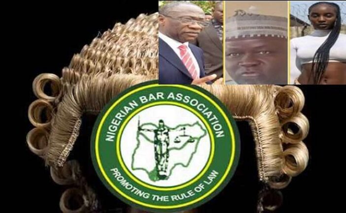 Alleged Misconduct: NBA Probes UNICAL Lecturer, Adamawa REC, Abia Lawyer