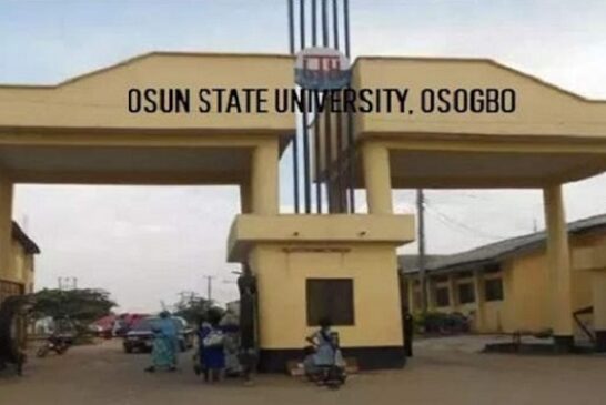 No Student Will Graduate Without Passing Entrepreneurship, Says Uniosun VC