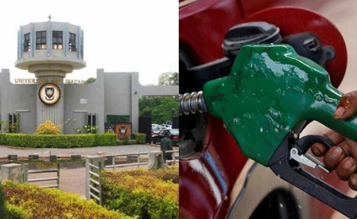 Fuel Subsidy: University Of Ibadan Directs Staff To Work Three Days Weekly