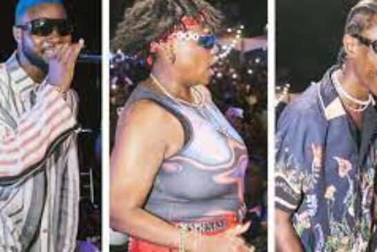 Blaqbonez, Teni, Wurld, Others Thrill Audience At Mainland BlockParty’s ‘Party Of The Summer’