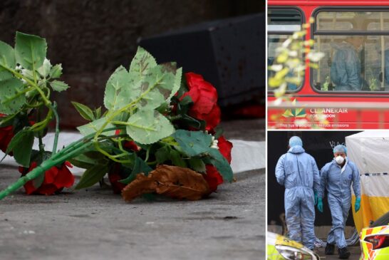 Private schoolgirl, 15, stabbed to death ‘after rejecting boy’s flowers’