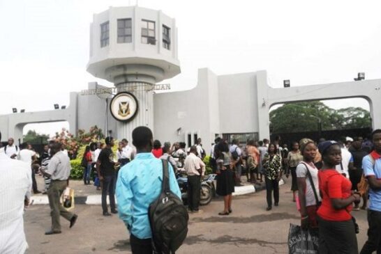 You’ve No Excuse Not To Make Good Grades, VC Tells University Of Ibadan New Students