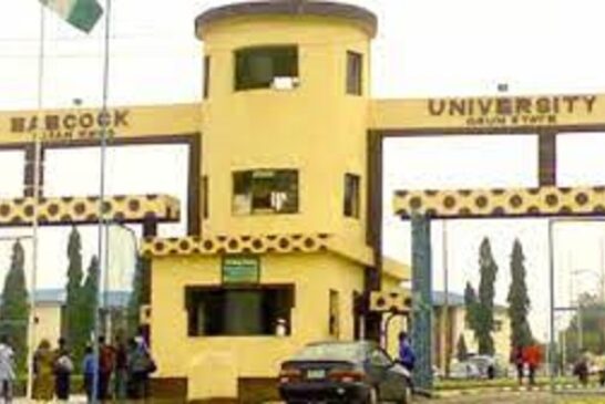 Babcock Advises Varsities To Generate Revenues