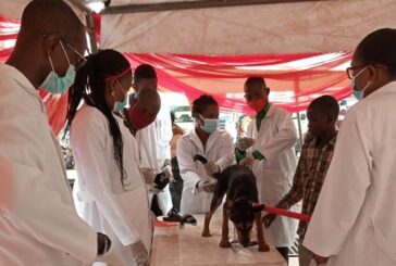 Vaccinate Dogs Yearly Against Rabies, FG Urges Dog Owners 